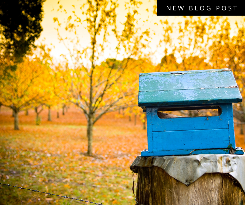 Access to talent for rural businesses